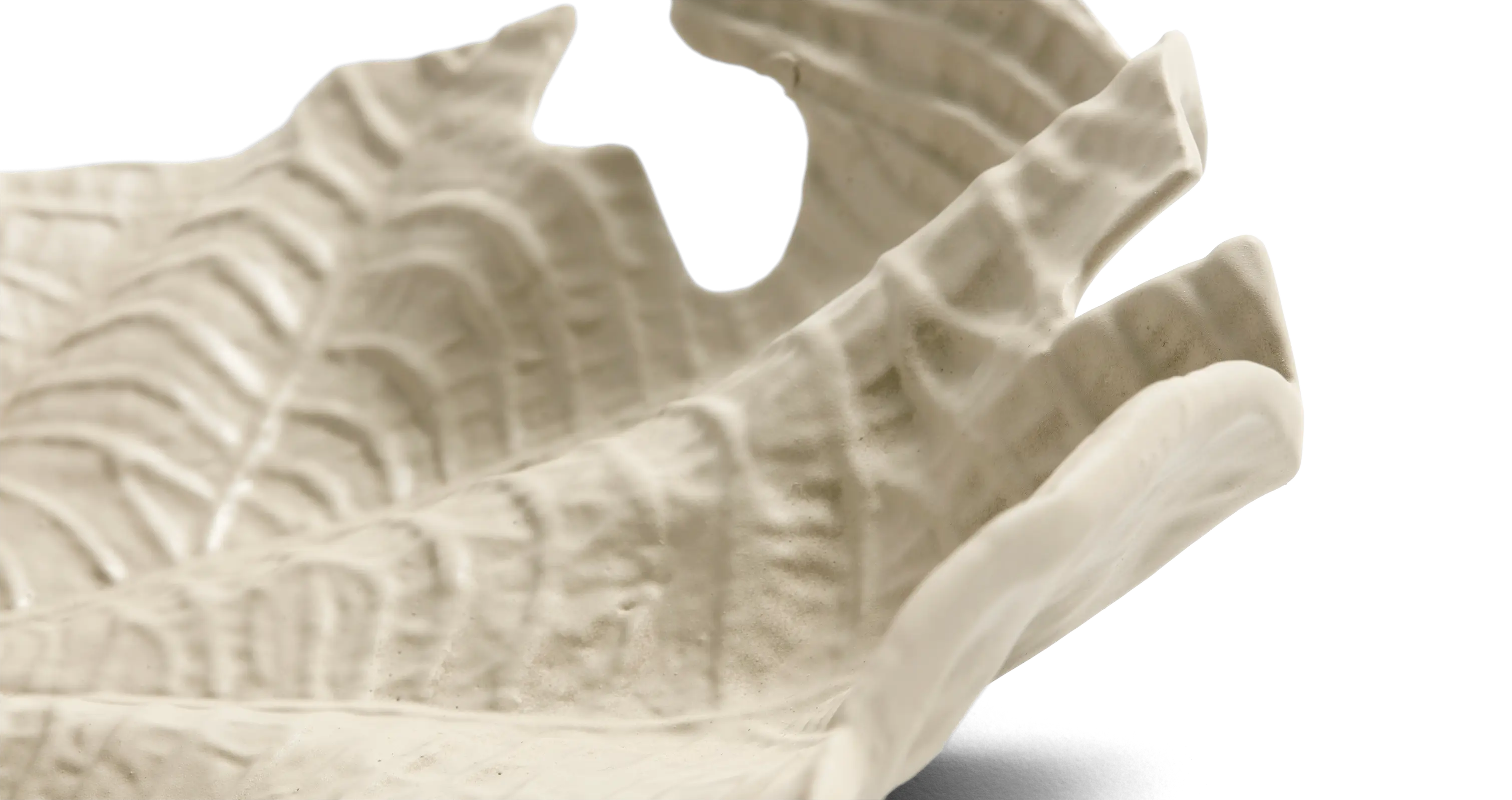 Velvet leafスカルプチャー | Sculpture | Velvet Leaf | | ボーコンセプト Velvet leafスカルプチャー | Sculpture | Velvet Leaf | | ボーコンセプト